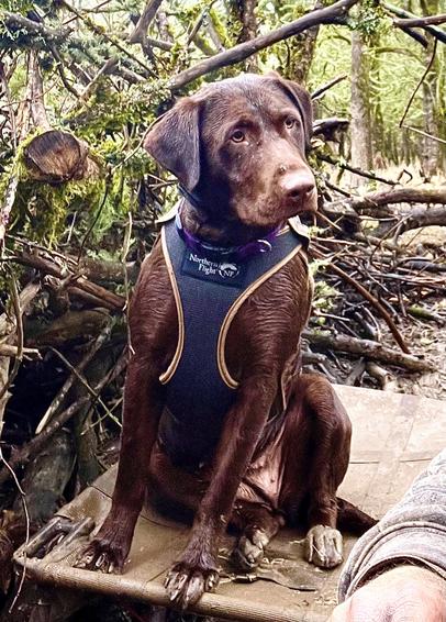 JR Talker Custom Duck Calls